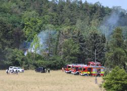 Brand In Jena Baum Knallt In Stromleitung Und Entfacht Feuer  00001