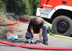 Brand In Jena Baum Knallt In Stromleitung Und Entfacht Feuer  000010