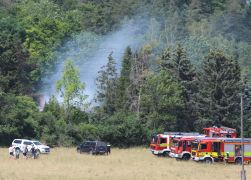 Brand In Jena Baum Knallt In Stromleitung Und Entfacht Feuer  00002