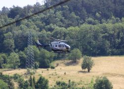 Brand In Jena Baum Knallt In Stromleitung Und Entfacht Feuer  00003