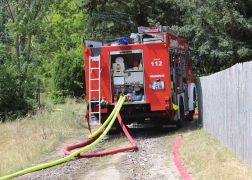 Brand In Jena Baum Knallt In Stromleitung Und Entfacht Feuer  00006