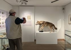 Nacht Der Museen In Jena War Ein Besuchermagnet 00016