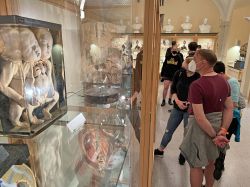 Nacht Der Museen In Jena War Ein Besuchermagnet 00018