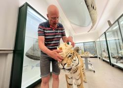 Nacht Der Museen In Jena War Ein Besuchermagnet 0002