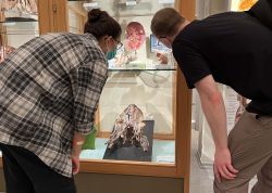 Nacht Der Museen In Jena War Ein Besuchermagnet 00023