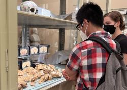 Nacht Der Museen In Jena War Ein Besuchermagnet 00027