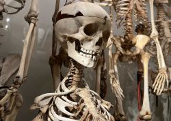 Nacht Der Museen In Jena War Ein Besuchermagnet 00028