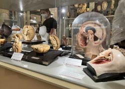 Nacht Der Museen In Jena War Ein Besuchermagnet 00032