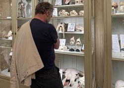 Nacht Der Museen In Jena War Ein Besuchermagnet 00033