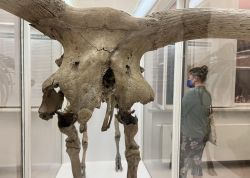 Nacht Der Museen In Jena War Ein Besuchermagnet 0006