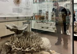 Nacht Der Museen In Jena War Ein Besuchermagnet 00061