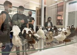 Nacht Der Museen In Jena War Ein Besuchermagnet 0007