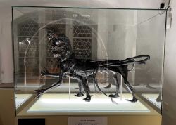 Nacht Der Museen In Jena War Ein Besuchermagnet 0008