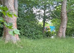 Ein Tag Im Paradies In Jena 00021