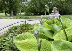 Ein Tag Im Paradies In Jena 00024