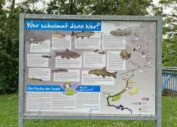 Ein Tag Im Paradies In Jena 00025