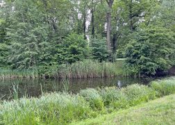 Ein Tag Im Paradies In Jena 00033