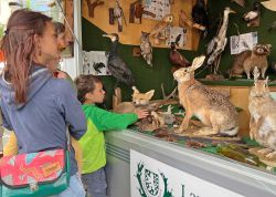 Thueringer Holzmarkt 2022 In Jena 000013