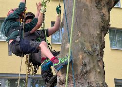 Thueringer Holzmarkt 2022 In Jena 000025