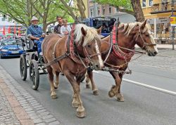 Thueringer Holzmarkt 2022 In Jena 000033