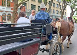 Thueringer Holzmarkt 2022 In Jena 000035