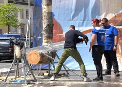 Thueringer Holzmarkt 2022 In Jena 000065