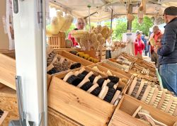 Thueringer Holzmarkt 2022 In Jena 000066