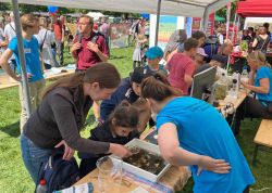 Tausende Beim Jenaer Familienfest 00026