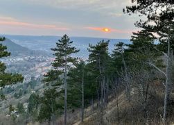 Abendlicher Spaziergang Ueber Den Fuchsturm Maerz 2022 0001