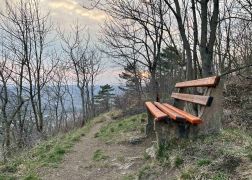 Abendlicher Spaziergang Ueber Den Fuchsturm Maerz 2022 0002