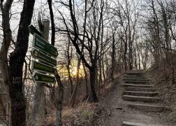 Abendlicher Spaziergang Ueber Den Fuchsturm Maerz 2022 00022