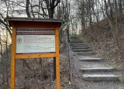 Abendlicher Spaziergang Ueber Den Fuchsturm Maerz 2022 00023