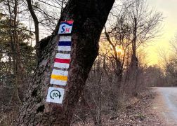 Abendlicher Spaziergang Ueber Den Fuchsturm Maerz 2022 00024