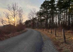 Abendlicher Spaziergang Ueber Den Fuchsturm Maerz 2022 00025
