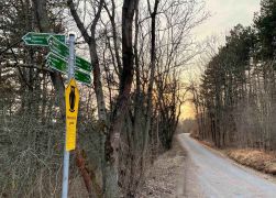 Abendlicher Spaziergang Ueber Den Fuchsturm Maerz 2022 00026