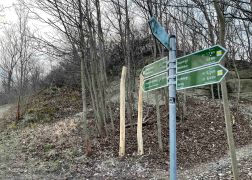 Abendlicher Spaziergang Ueber Den Fuchsturm Maerz 2022 0003