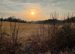 Abendlicher Spaziergang Ueber Den Fuchsturm Maerz 2022 00030