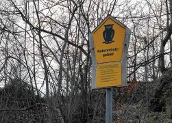 Abendlicher Spaziergang Ueber Den Fuchsturm Maerz 2022 0005