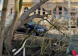 Baum Kracht Auf Wohnhaus In Jena JN2