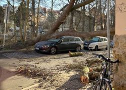 Baum Kracht Auf Wohnhaus In Jena JN4