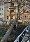 Baum Kracht Auf Wohnhaus In Jena JN5