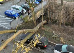 Baum Kracht Auf Wohnhaus In Jena JN6