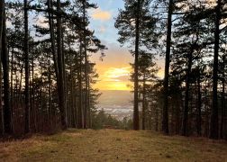 Das Winterliche Jena Im Februar 2022 006 6