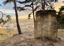 Das Winterliche Jena Im Februar 2022 008 8