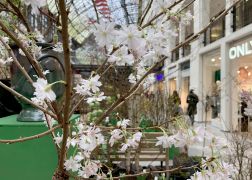 Fruehlingserwachen In Der Goethe Galerie In Jena 2022 001