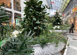 Fruehlingserwachen In Der Goethe Galerie In Jena 2022 0010