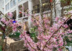 Fruehlingserwachen In Der Goethe Galerie In Jena 2022 0013