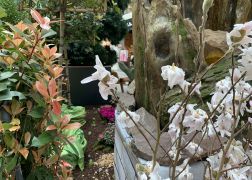 Fruehlingserwachen In Der Goethe Galerie In Jena 2022 0014