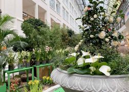 Fruehlingserwachen In Der Goethe Galerie In Jena 2022 0016