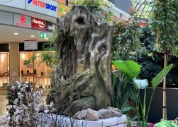 Fruehlingserwachen In Der Goethe Galerie In Jena 2022 0018